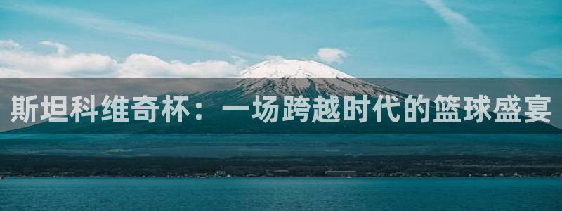 斯坦科维奇杯：一场跨越时代的篮球盛宴