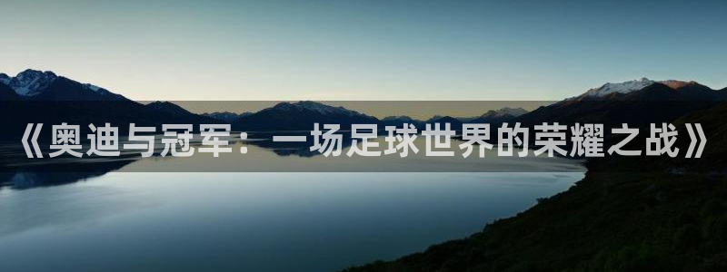 悟空体育提现一直审核怎么办：《奥迪与冠军：一场足球世界的荣耀
