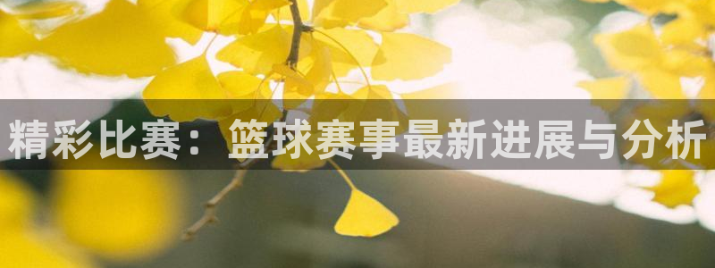 悟空体育招聘：精彩比赛：篮球赛事最新进展与分析