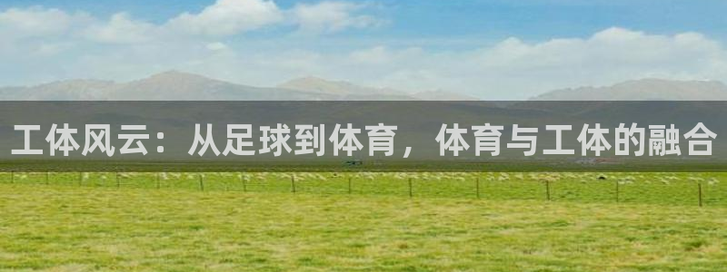 悟空体育app官网下载安卓版：工体风云：从足球到体育，体育与