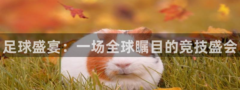 悟空体育app官网入口：足球盛宴：一场全球瞩目的竞技盛会
